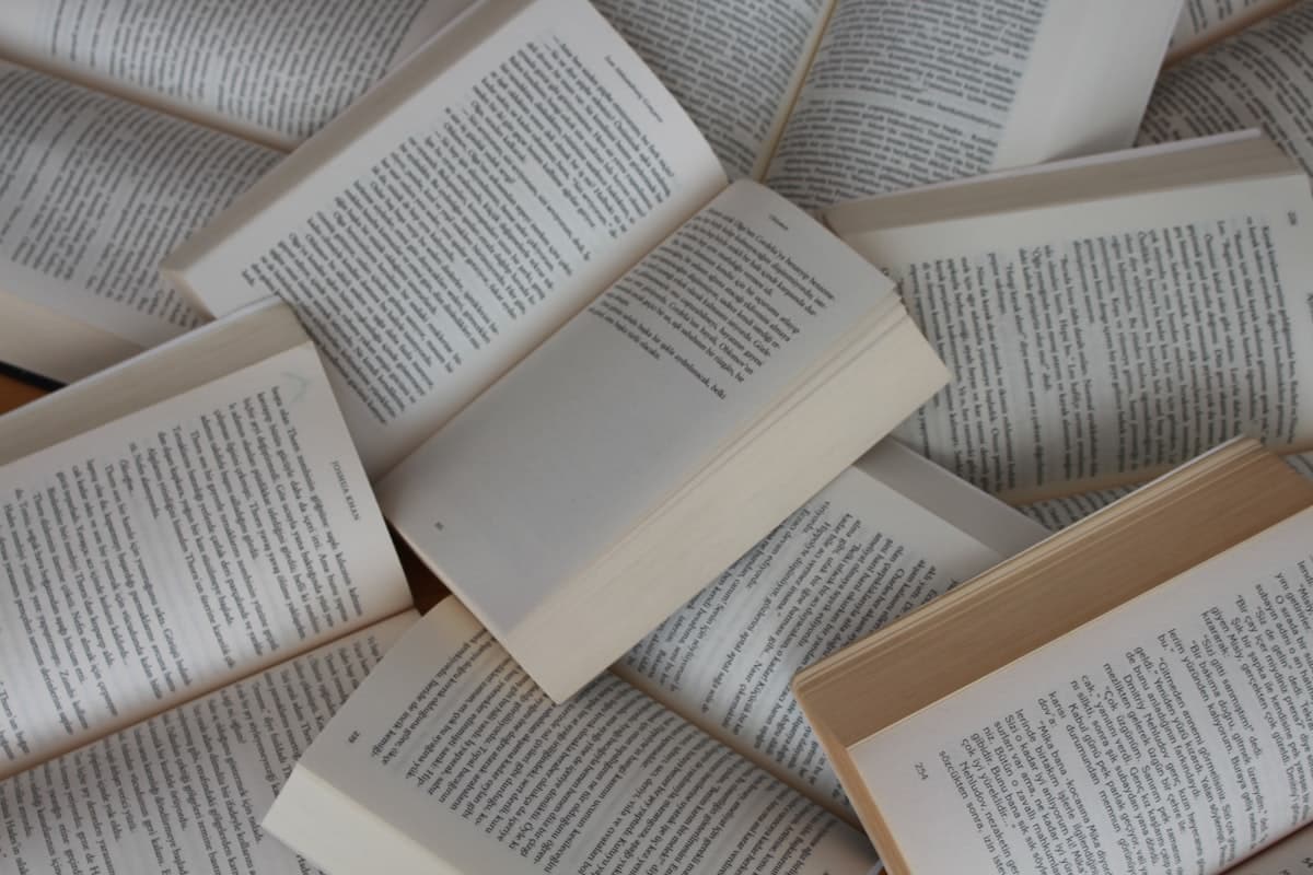National Certificate in Library and Information Science (NCLIS)
