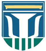 Team University logo