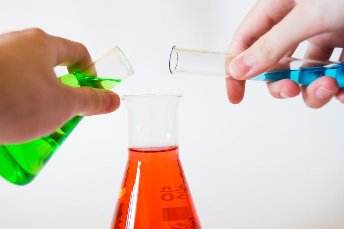 Bachelor of Science with Education (BSE)
